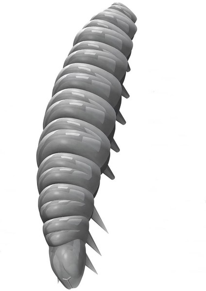 Larva Cheese Suni Yem modelleri