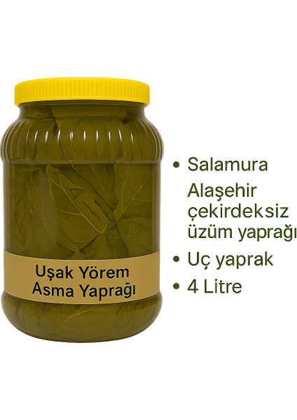Salamura Asma Yaprağı Uşak Yörem