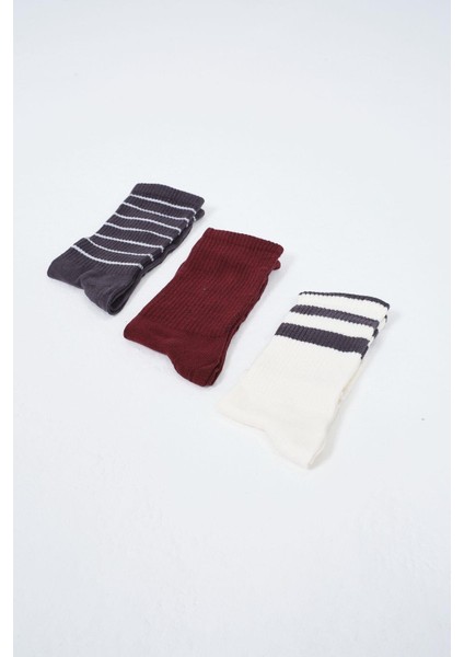 Erkek Çizgili Uzun 3'lü Soket Çorap Seti Patlıcan Mor
