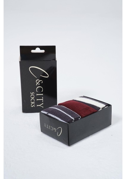 Erkek Çizgili Uzun 3'lü Soket Çorap Seti Patlıcan Mor fiyatları