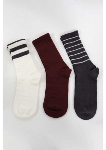 Erkek Çizgili Uzun 3'lü Soket Çorap Seti Patlıcan Mor modelleri