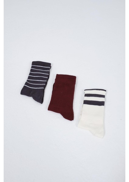 Erkek Çizgili Uzun 3'lü Soket Çorap Seti Patlıcan Mor fırsatları