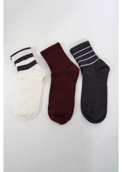 Erkek Çizgili Kısa 3'lü Soket Çorap Seti Patlıcan Mor modelleri
