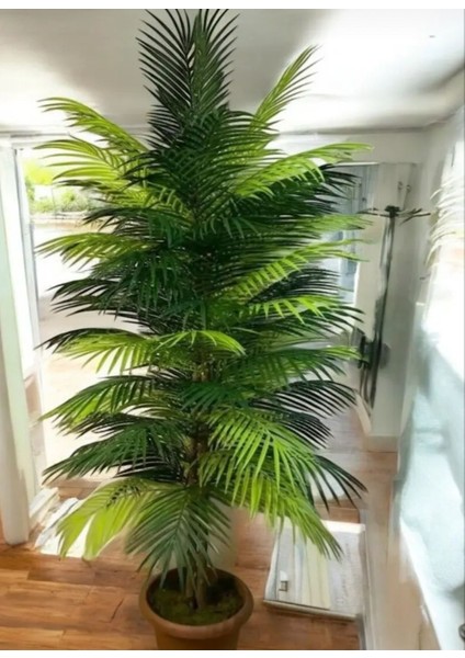 Yapay Areka Palmiyesi Ağaç 150CM fiyatları