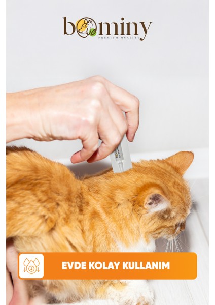 Kedi Köpek Iç Dış Parazit 3' Lü Avantaj Paket