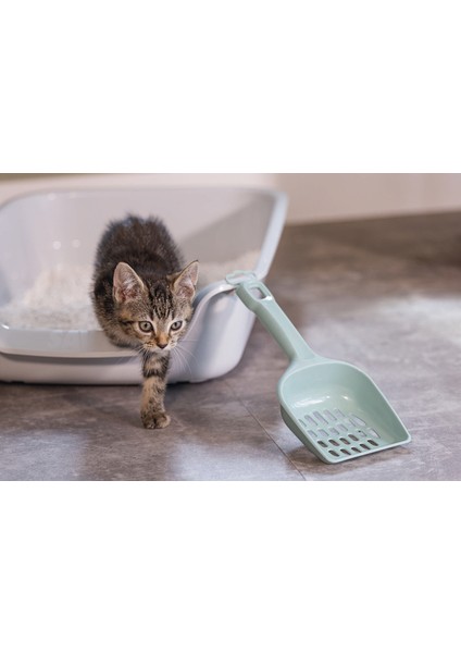 Kedi Kumu Küreği, Açık Yeşil, 27X11X5CM Zrnet modelleri