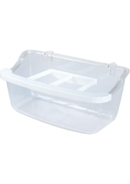 Büyük Şeffaf Mamalık