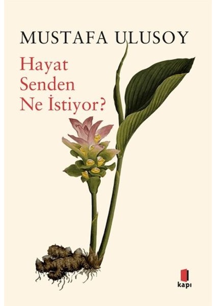 Hayat Senden Ne Istiyor?