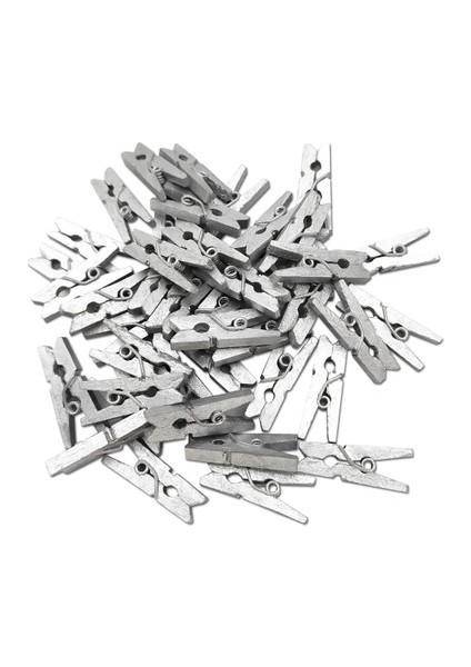 100'LÜ Gümüş Ahşap Mandal 2.5 cm (10'lu PAKET-1000 Adet)
