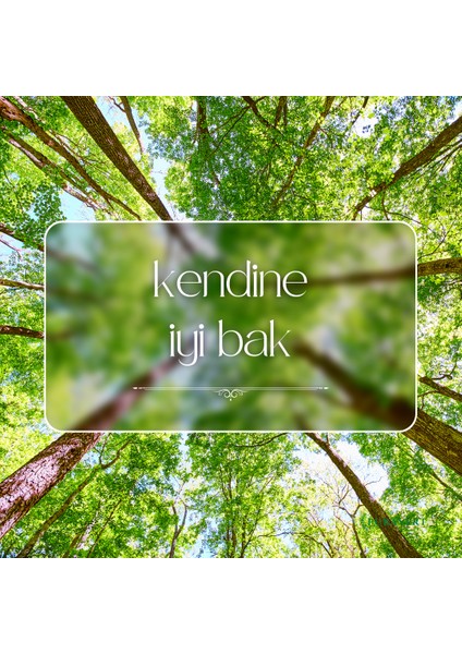 Glütensiz Sebzeli Erişte modelleri