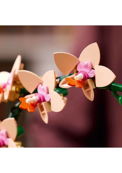 Nessiworld LEGO Botanicals Mini Orkide 10343 modelleri