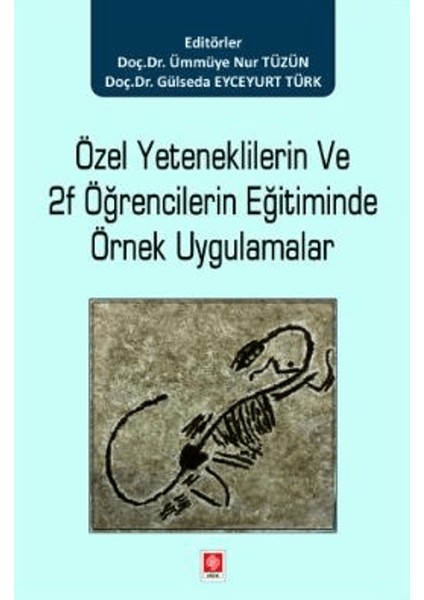 Özel Yeteneklilerin ve 2f Öğrencilerin Eğitiminde Örnek Uygulamalar