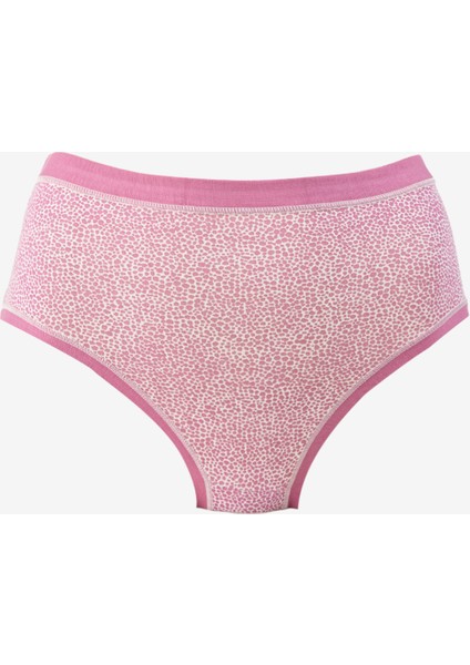 Çok Renkli Kadın Külot 3lü 3363 Cot Colorday