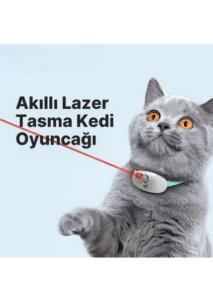 Akıllı Lazerli Tasma Kedi Oyuncağı Egzersiz Oyuncağı Kedi Tasması