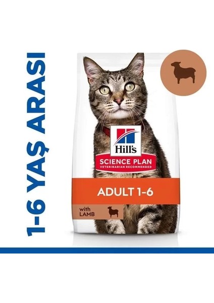 Hills Adult Kuzu Etli Yetişkin Kedi Maması 8+2 kg