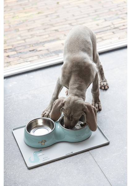 Köpek Ikili Mama ve Su Kabı, Paslanmaz Çelik, Turkuaz, 34X17,5CM, 2X350ML Zrnet fiyatları