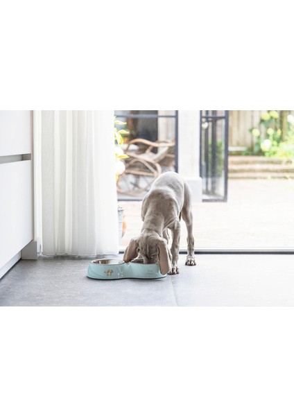 Köpek Ikili Mama ve Su Kabı, Paslanmaz Çelik, Turkuaz, 34X17,5CM, 2X350ML Zrnet modelleri