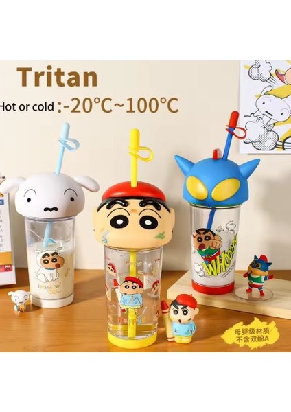 Tritan 500 ml Matara VGN-10012 Kuzu fiyatları