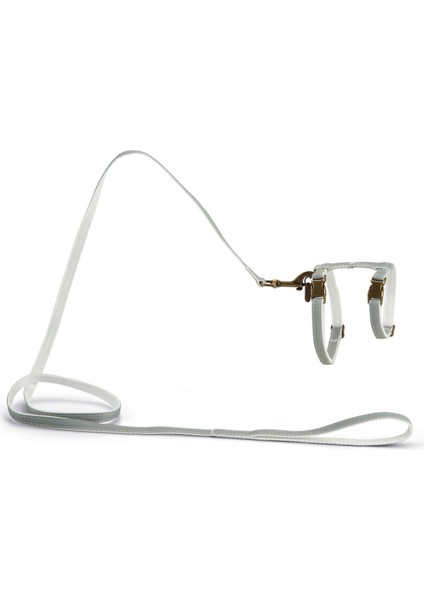 Dbl Kedi Göğüs Tasması ve Gezdirme Kayışı, 130CM, Mint, 27-45CM Zrnet