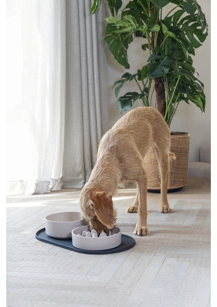 Dbl Mama Su Kabı Servisi, Silikon, Kaymaz, Antrasit, 55X30X1,7CM Zrnet modelleri