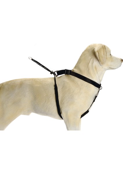 Köpek Yürüyüş Eğitim ve Düzeltme Tasması, Xl Zrnet