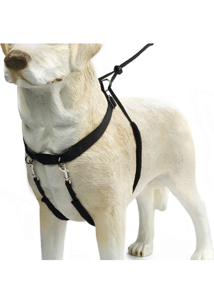 Köpek Yürüyüş Eğitim ve Düzeltme Tasması, Xl Zrnet