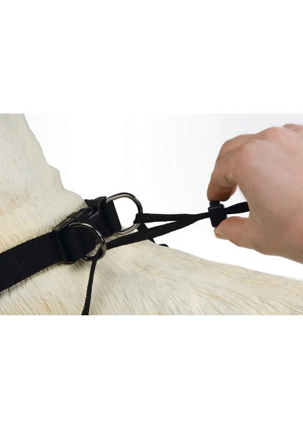 Köpek Yürüyüş Eğitim ve Düzeltme Tasması, Xl Zrnet