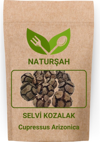 Selvi Servi Kozalağı (Cupressus Arizonica) 1 kg
