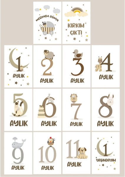 Yeni Doğan Bebek Ay Kartları | 1-12 Ay Doğum & Kırkı Çıktı | Fotoğraf Çekim Unisex Anı Kartları Seti fiyatları
