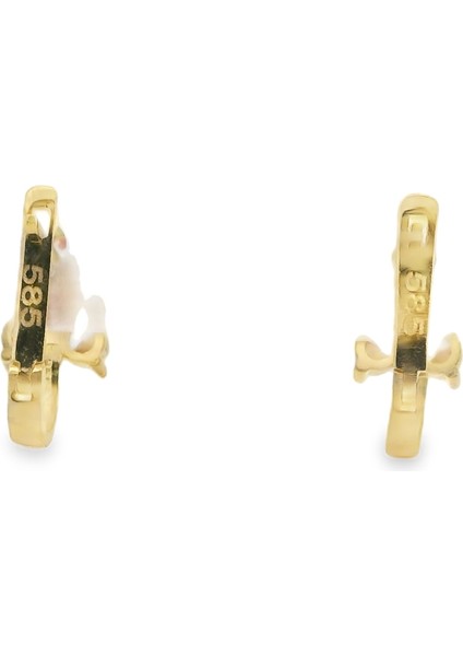 Taşlı Çocuk Küpesi 14 Ayar Altın 1.43 gr OA-C1TB03029274