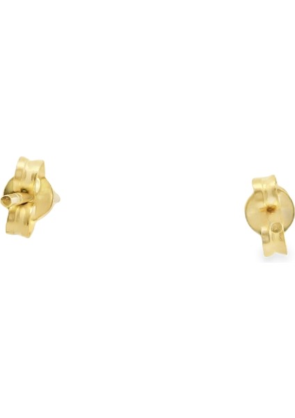 Taşlı Çocuk Küpesi 14 Ayar Altın 0.88 gr OA-C1TB03029275