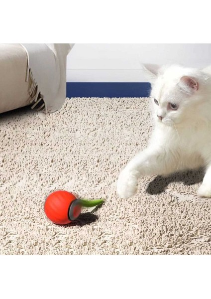 Hareketli Otomatik Yuvarlanan Tüylü Top Kedi Oyuncağı