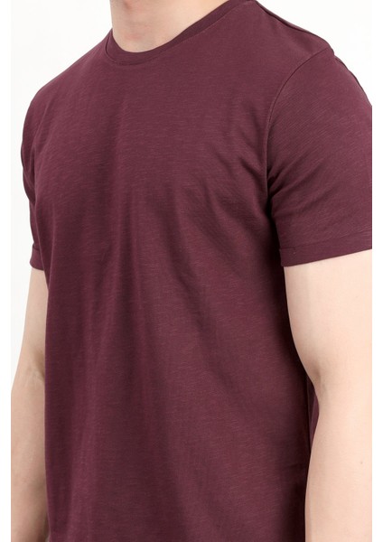 Erkek Bisiklet Yaka Basic %100 Pamuklu T-Shirt Bordo - 25Y 2735 fiyatları