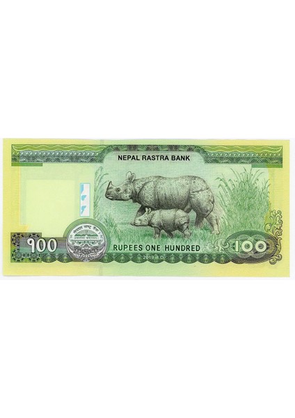 Nepal, 100 Rupi (2019) P#80 Çil Eski Yabancı Kağıt Para modelleri