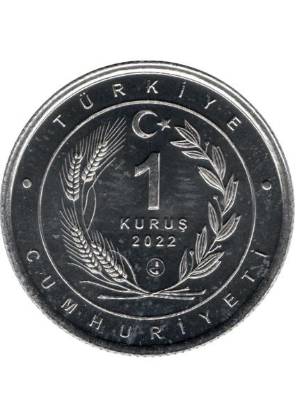 1 Kuruş 2022 "anadolu Parsı" Çil Alüminyum Hatıra Para fırsatları