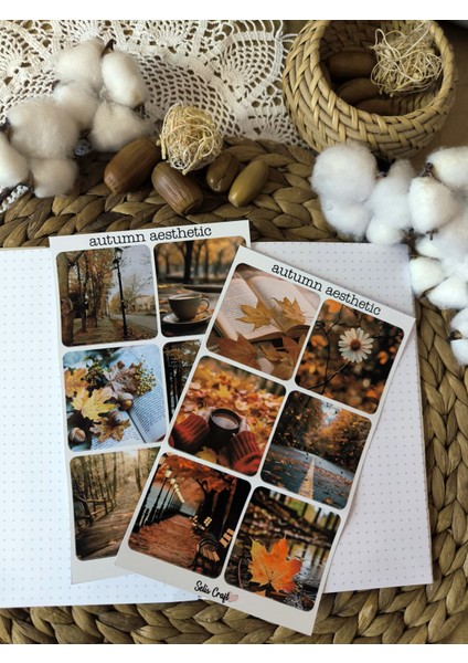 Autumn Aesthetic Temalı Parlak Sticker 01 Ajanda Planlayıcı Bullet Journal Sticker Etiket