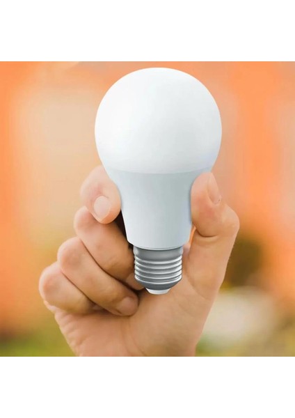 Ledx AL-A109G 9 Watt E27 6500K 810 Lümen Günışığı LED Ampul Aydınlatma