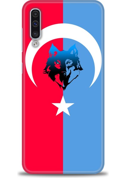 Samsung Galaxy A30S Hd Baskılı Kılıf + Seramik Tam Kaplayan Ekran Koruyucu 462