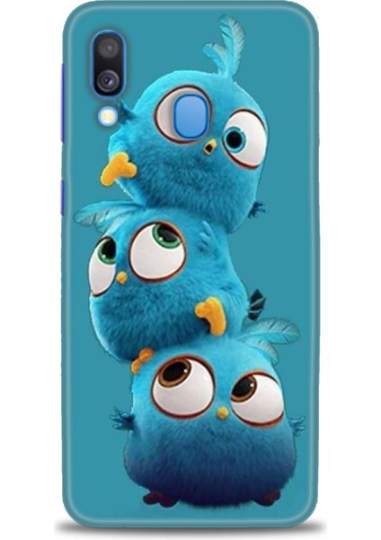 Samsung Galaxy A40 Hd Baskılı Kılıf + Seramik Tam Kaplayan Ekran Koruyucu 365