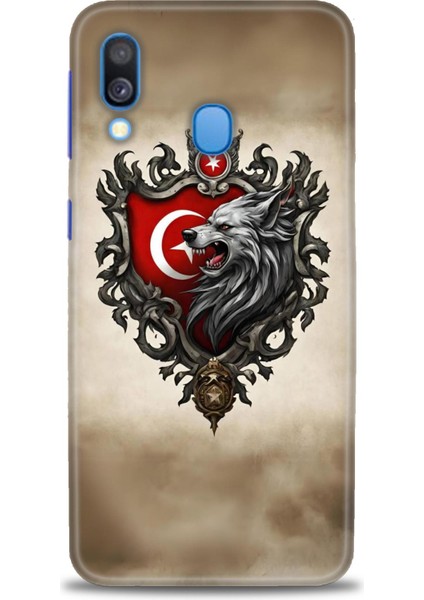 Samsung Galaxy A40 Hd Baskılı Kılıf + Seramik Tam Kaplayan Ekran Koruyucu 461
