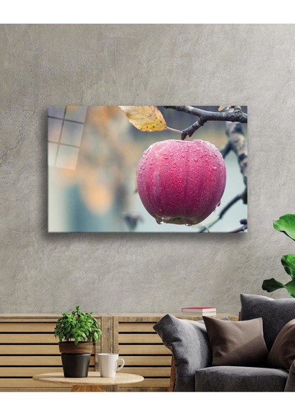 Meyveler Cam Tablo 4mm Dayanıklı Temperli Cam fiyatları