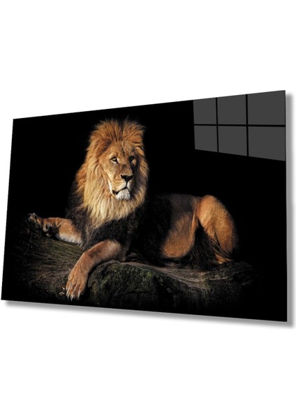 Aslan Hayvan Cam Tablo 4mm Dayanıklı Temperli Cam