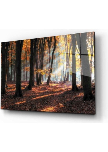 Doğa Manzara Cam Tablo 4mm Dayanıklı Temperli Cam