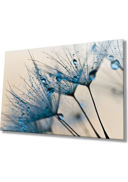 Mavi Karahindiba Cam Tablo