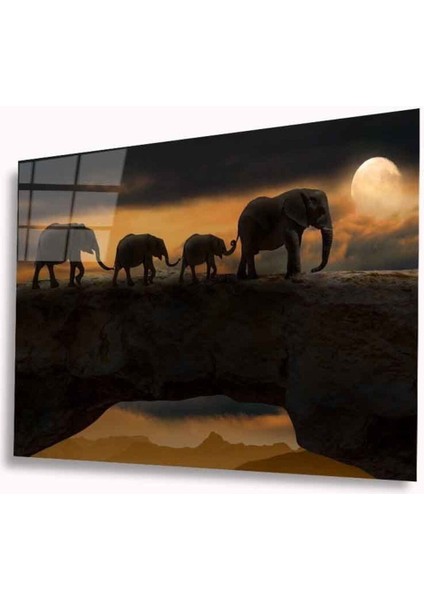 Filler Cam Tablo 4mm Dayanıklı Temperli Cam modelleri