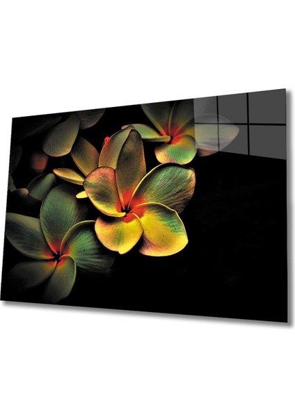 Renkli Çicek Cam Tablo