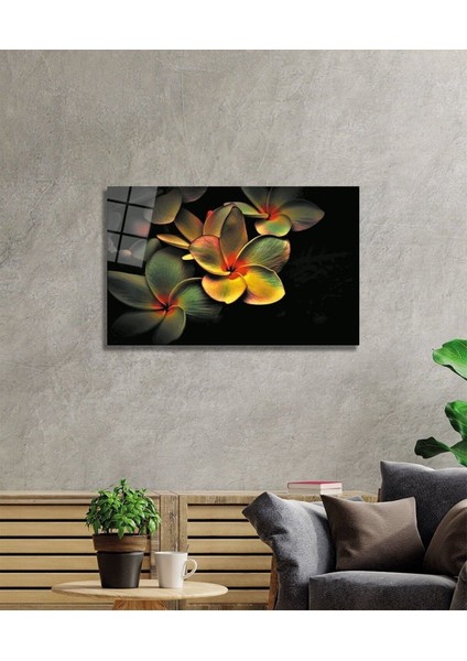 Renkli Çicek Cam Tablo fiyatları