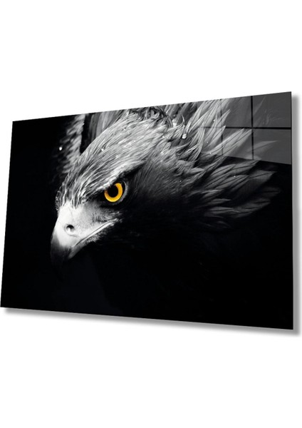 Kartal 4 Hayvan Cam Tablo
