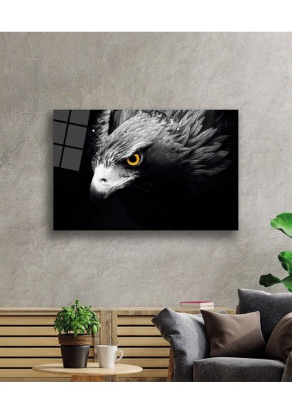 Kartal 4 Hayvan Cam Tablo modelleri