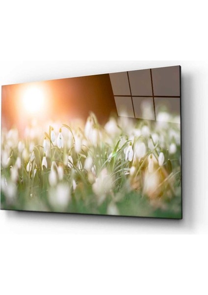 Doğa Manzara Cam Tablo 4mm Dayanıklı Temperli Cam